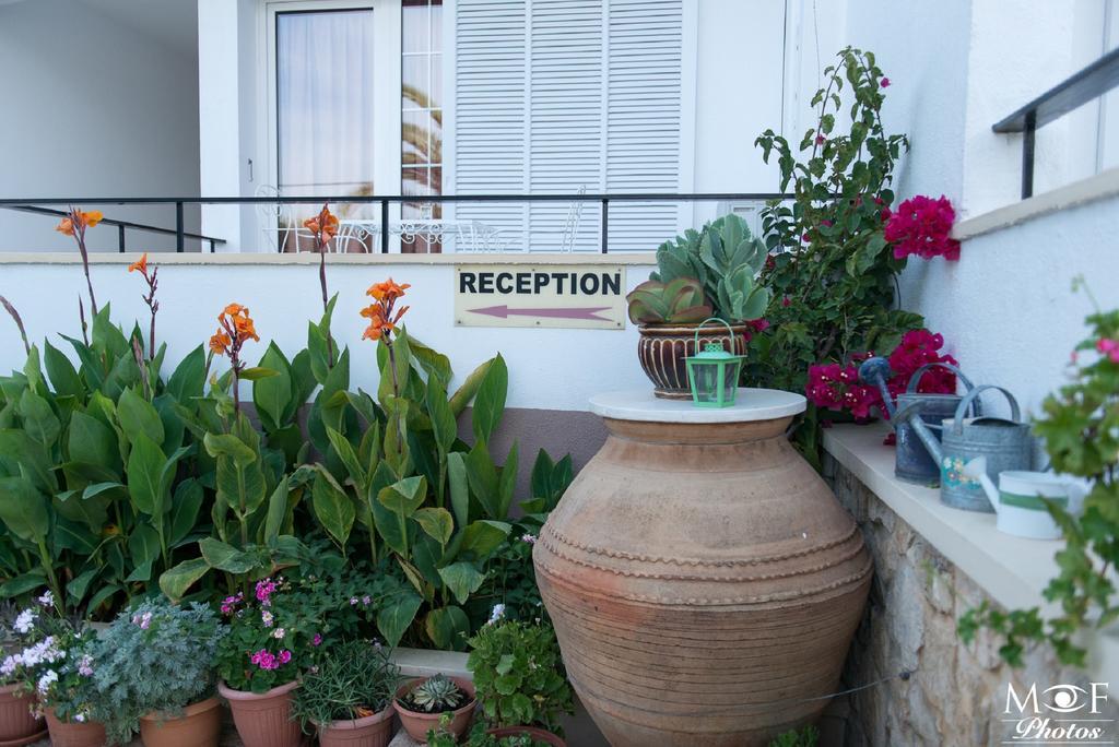 Hotel Elena Alinda  Ngoại thất bức ảnh